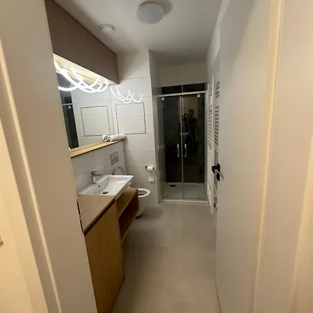 Apartamento Vankovka Brno